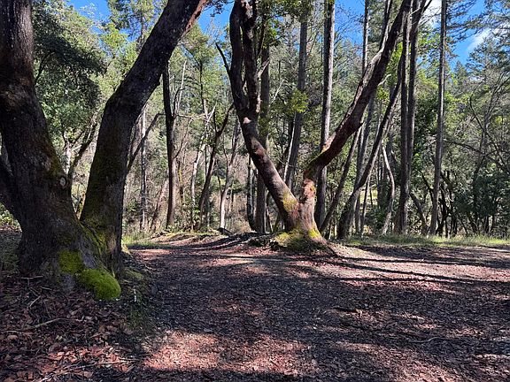 5th image of 1330 Salyer Loop Rd