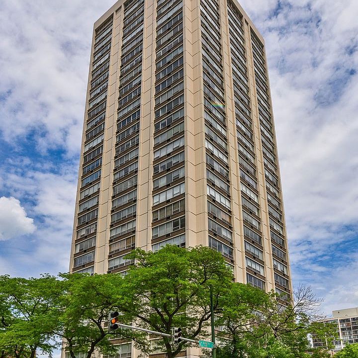 1st image of 70 W Burton Pl APT 705