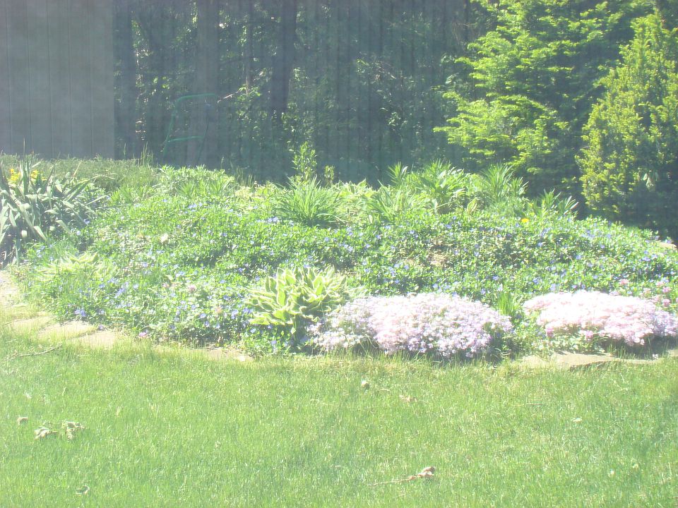 1st image of 53655 Lynnham Ln