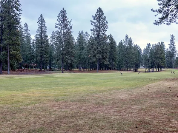533 Hogans Way, Chewelah, WA 99109