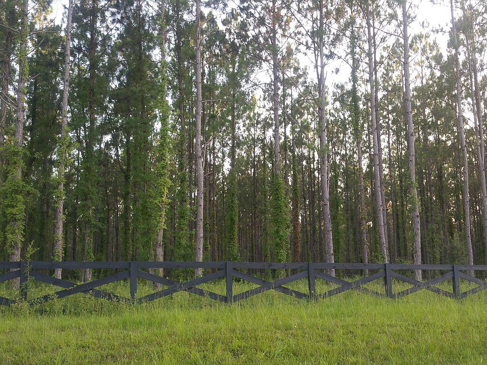 2nd image of 231A Lake Butler Fl