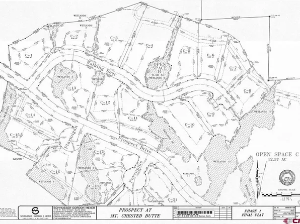 13 Walking Deer Lane, Mt. Crested Butte, CO 81225