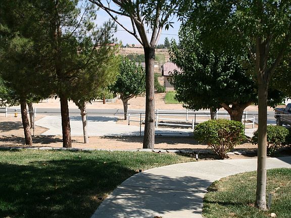 Looking out towards Alston Ave