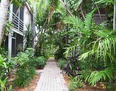 Tropical Walkway