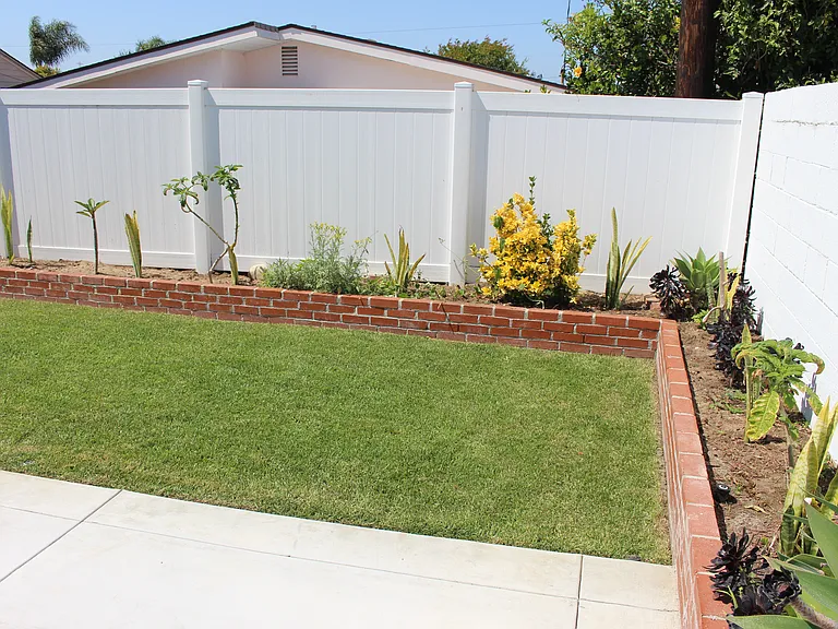 Back Yard 2