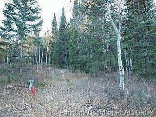 2nd image of 504 Pinion Pine Cir #5