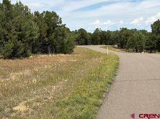 Lot 2 (TBD) Snowberry Lane, Ridgway, CO 81432