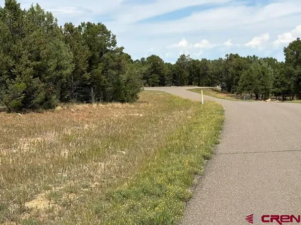 Lot 2 (TBD) Snowberry Lane, Ridgway, CO 81432