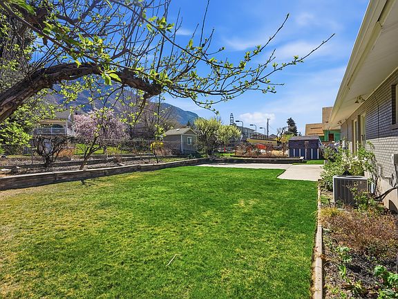 Backyard lawn and fruit trees.