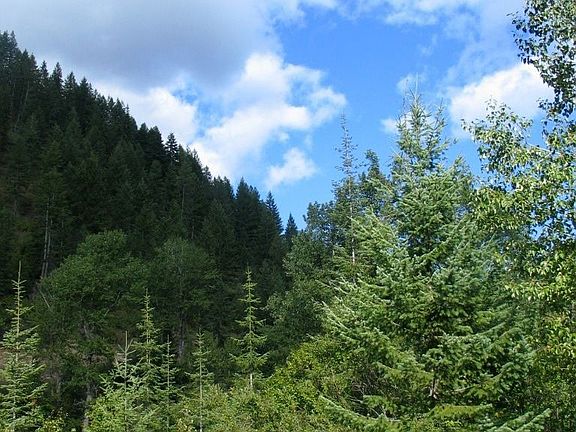 Wonderful hunting and fishing