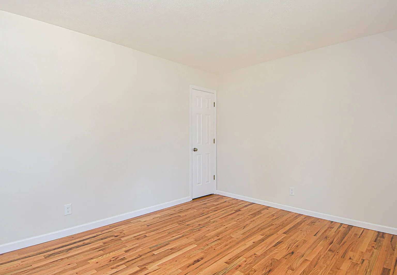 3 bed, 1300 sqft, $2,000 — Photo 4