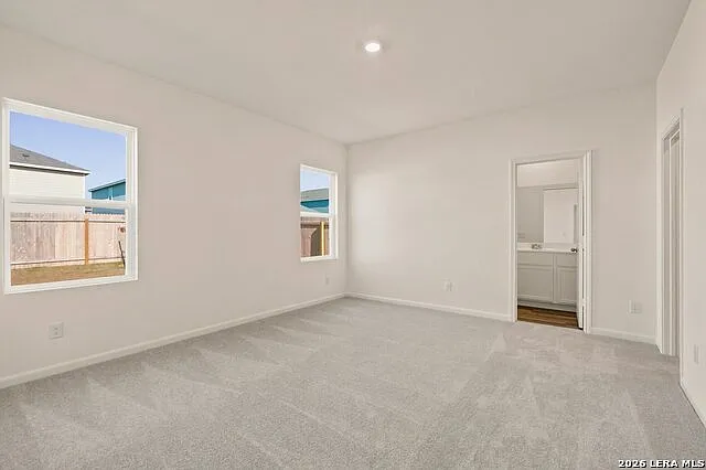 1117 King Eider — Photo 12