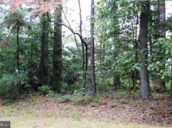 56 Trident Ct, Greenbackville, VA 23356