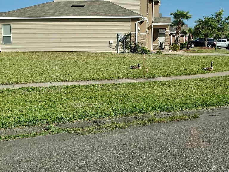 15550 Spotted Saddle Cir — Photo 16