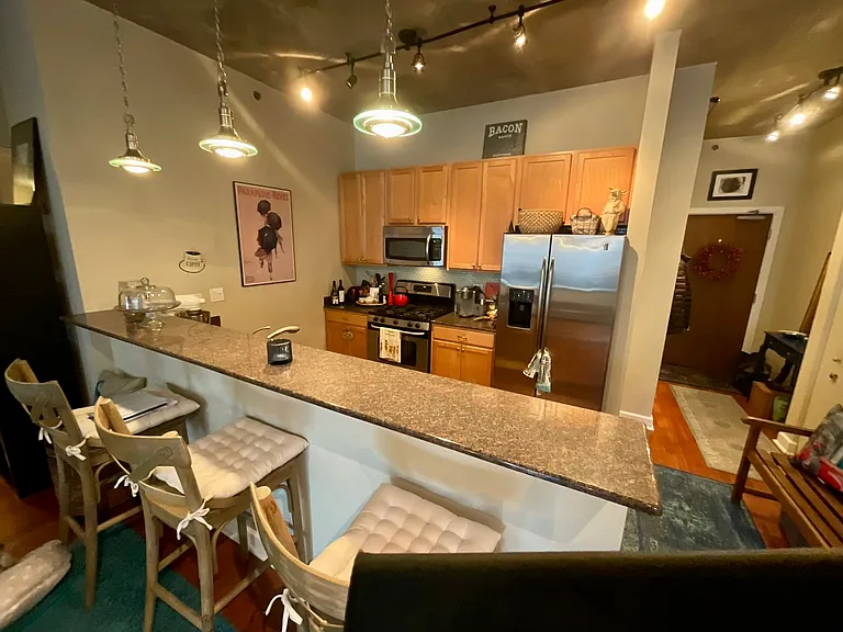 1305 S Michigan Ave #1011 — Photo 4