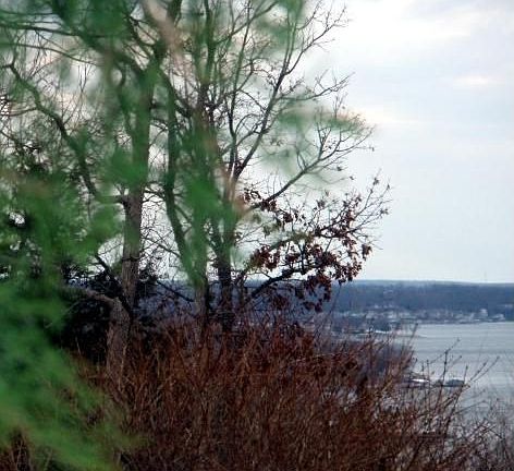 seasonal view