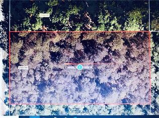 Ligustrum St, Eustis, FL 32736