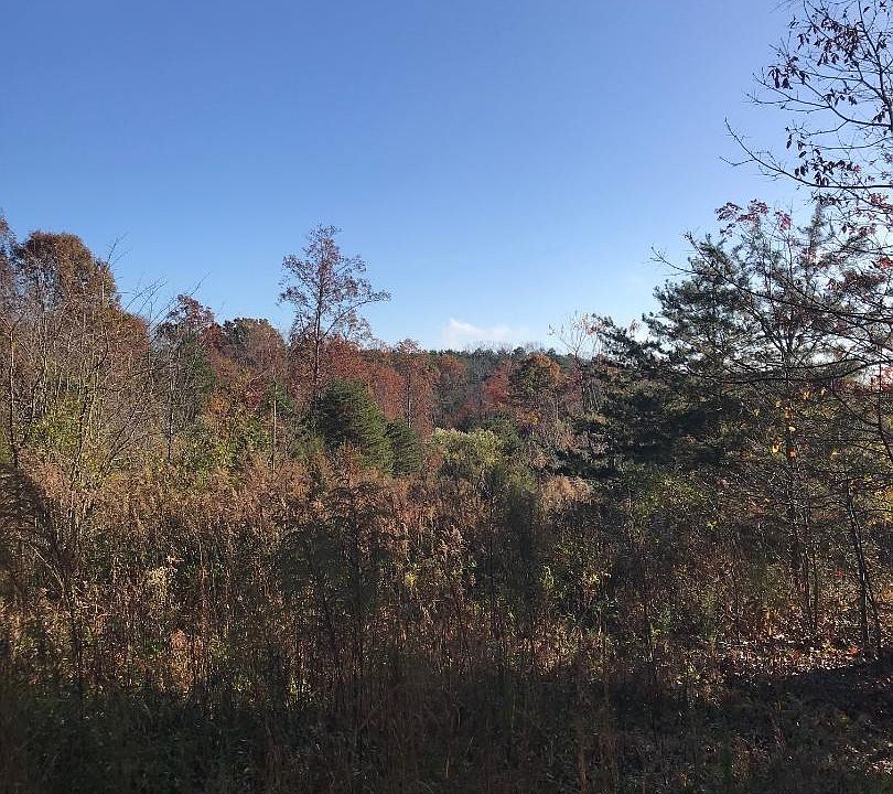 173 Laurel Cove Rd, Statesville, NC 28677 Zillow