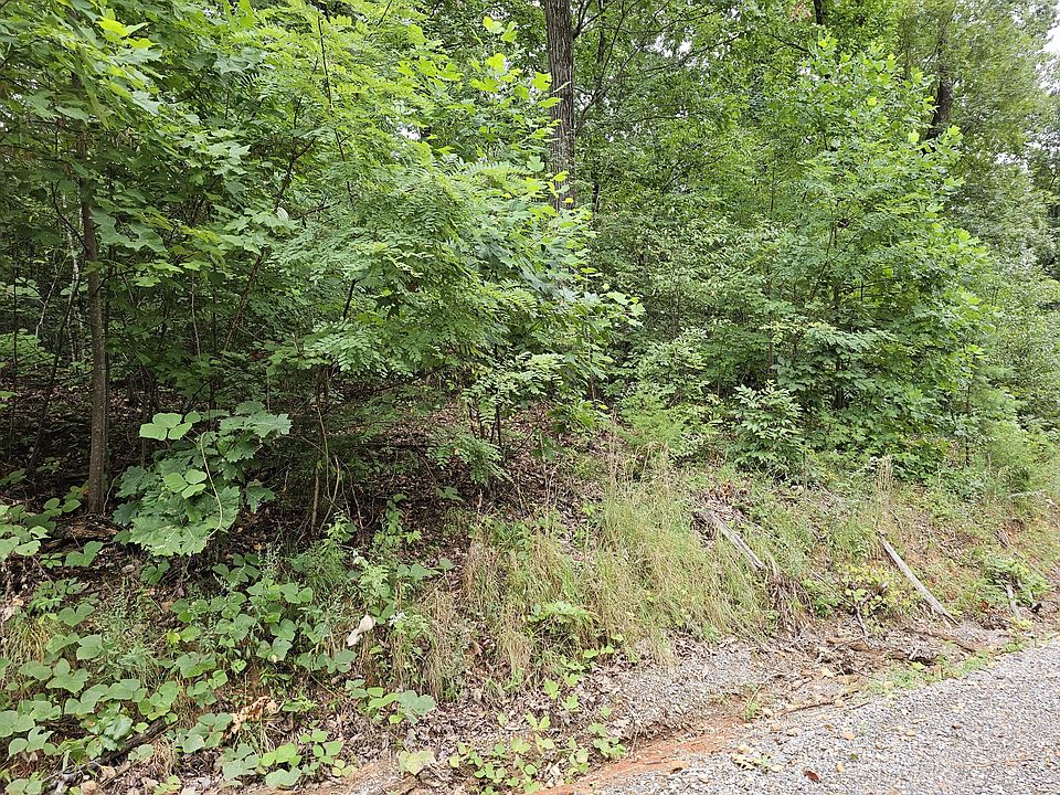 2nd image of LOT 10 Ridge Walk Rd