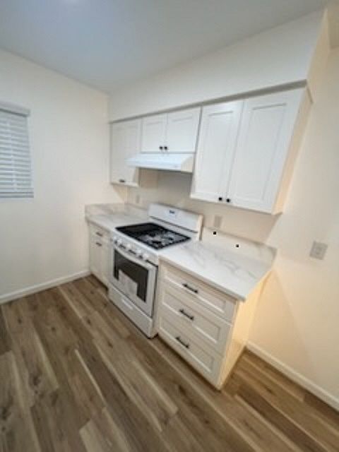 New Kitchen cabinets, counter space and Stove.