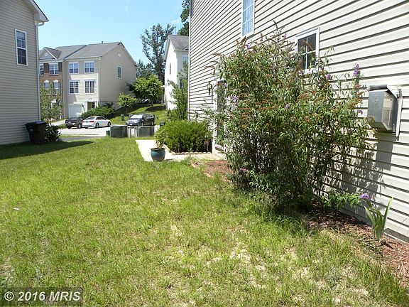 4th image of 23447 Dahlia Cir