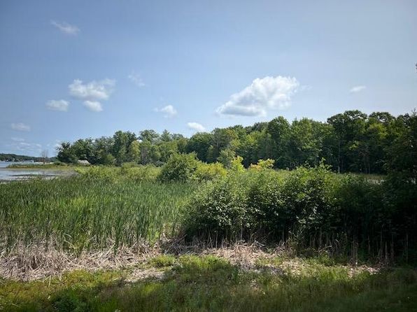 E Madison Rd, Walkerville, MI 49459