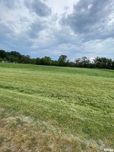 Starview Ct, Carterville, IL, 62918