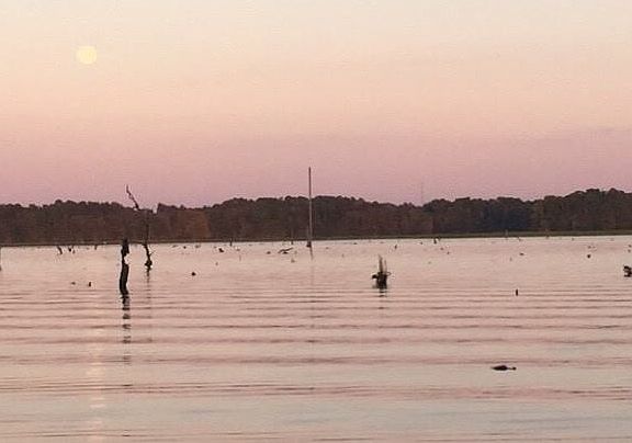 view from dock