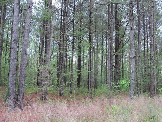 2nd image of 0 Tbd Dragonfly Ln
