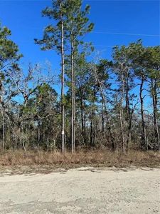 11117 SEATTLE WREN AVENUE LOT 2, Brooksville, FL, 34614
