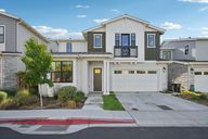 Vinemaple Ter-L0908-001.jpg