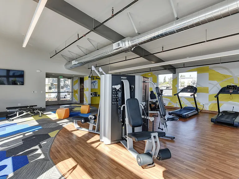 Community Gym with Weights and Cardio Equipment