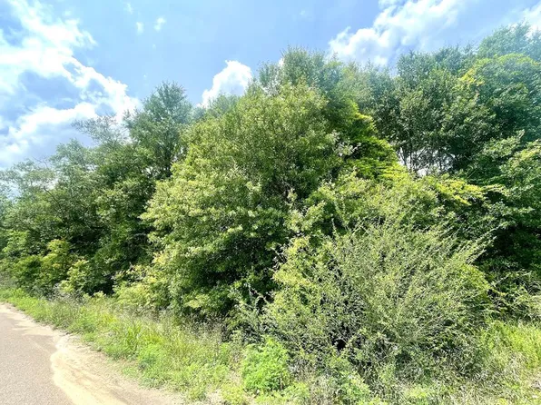Nhn Theodore Dr, Poplarville, MS 39470