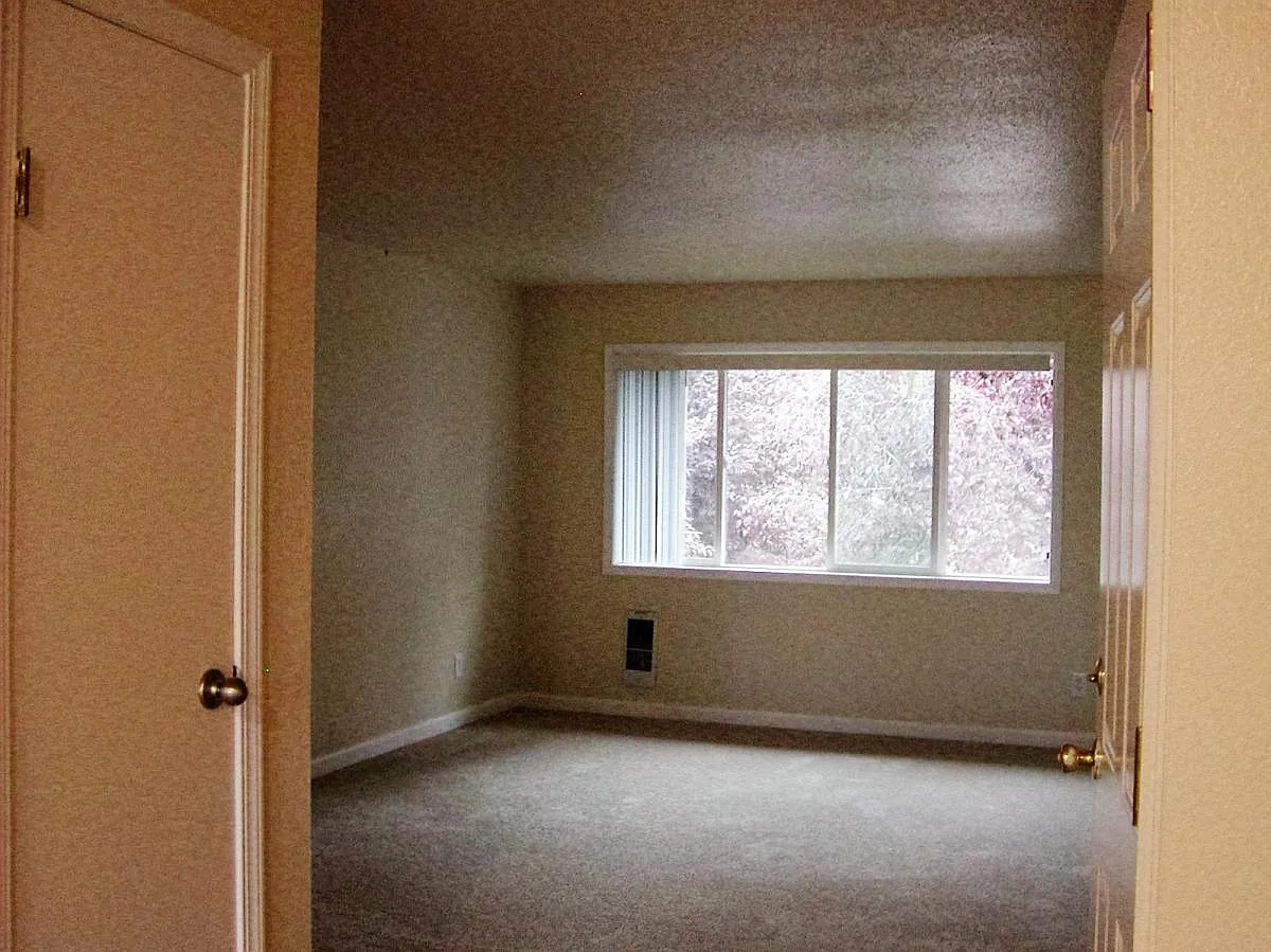 2 bed, 800 sqft, $1,750 — Photo 3