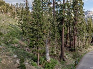 123 Larkspur Dr #413, Kirkwood, CA