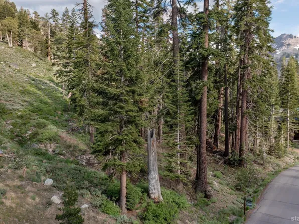 123 Larkspur Dr #413, Kirkwood, CA 95646