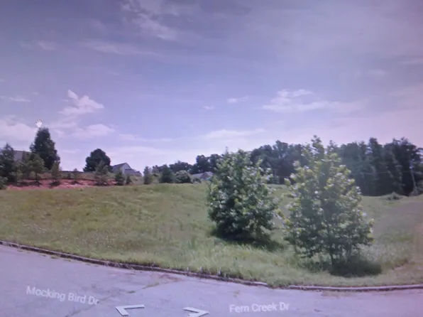 Mocking Bird Dr, Lexington, TN 38351