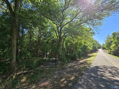 LOT 1 County Road 60, Gaylesville, AL, 35973