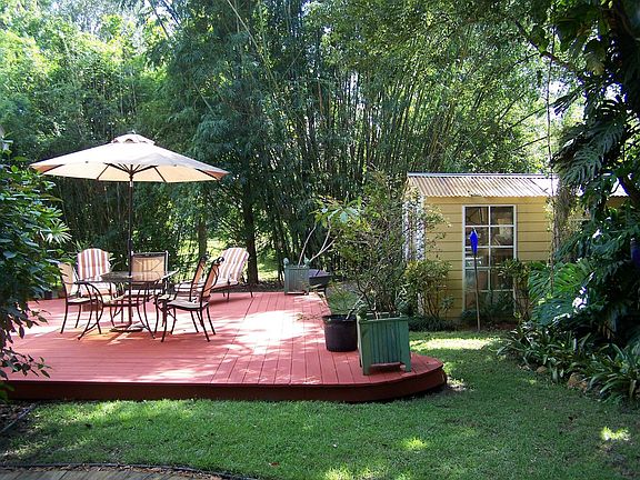 Back yard