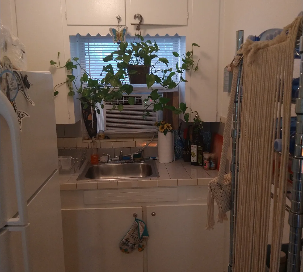 445 7th Ave N - 3 — Photo 3