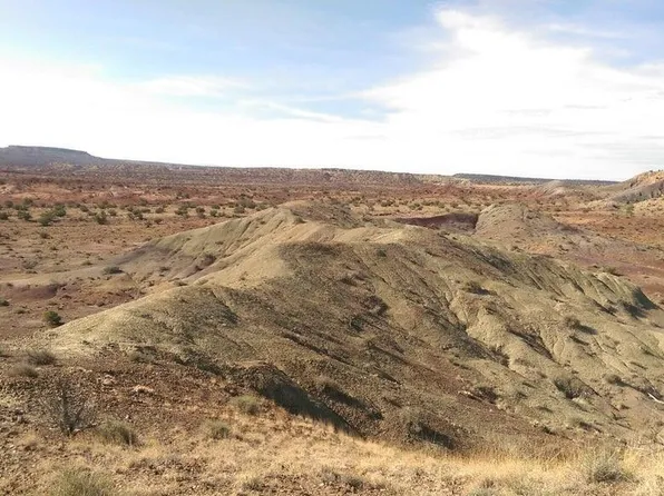 407 N 6726th, Saint Johns, AZ 85936