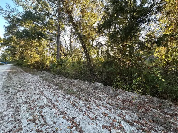 0 SE 926th St Lot 36, Old Town, FL 32680