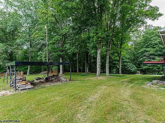 backyard and fenced garden
