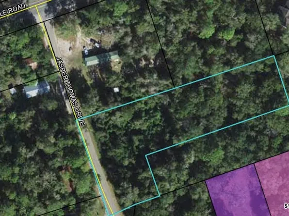 X Jasper Thomas Rd, Crawfordville, FL 32327
