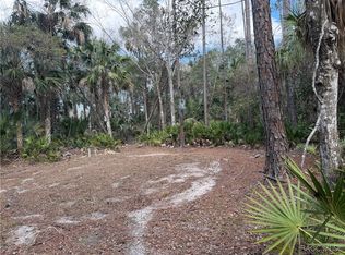 0 SE 193rd Pl, Yankeetown, FL 34498
