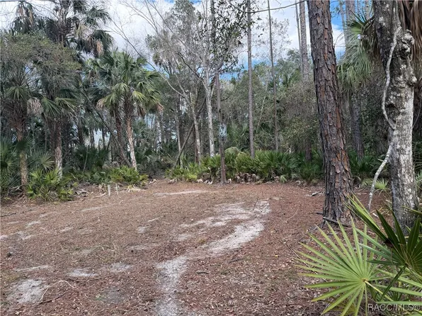 0 SE 193rd Pl, Yankeetown, FL 34498