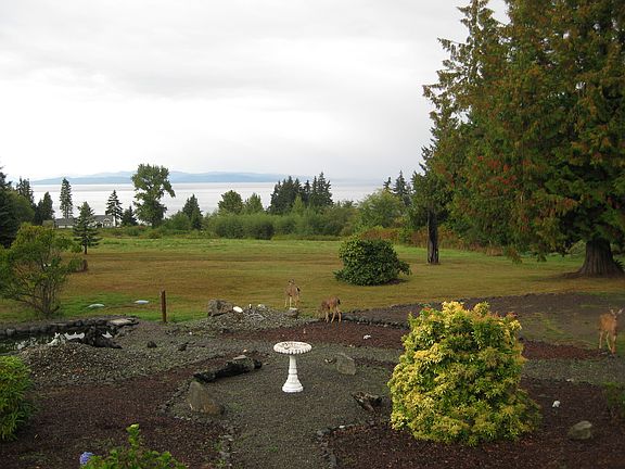 Juan de Fuca view
