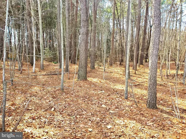 Gravel Branch Rd, Hurlock, MD 21643