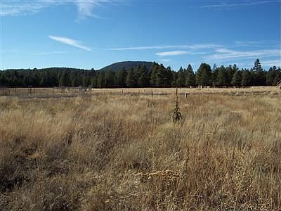 5th image of 7158 N Hadrians Walk