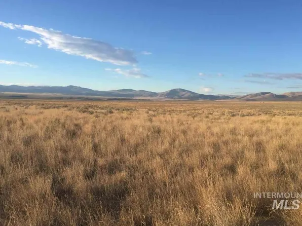 Shootin Iron Rd, Almo, ID 83312